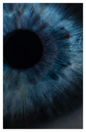 Retinal Research